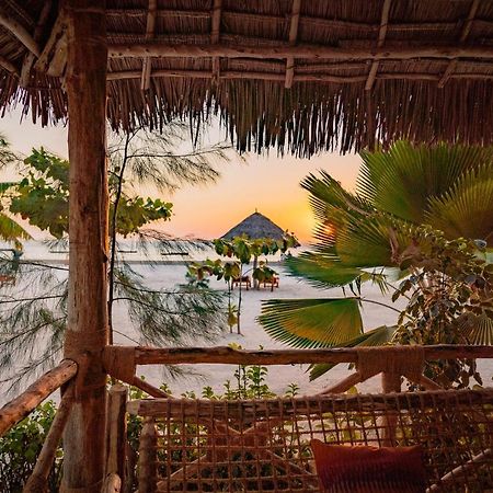 Hotel Joy Of Zanzibar Michamvi Zewnętrze zdjęcie