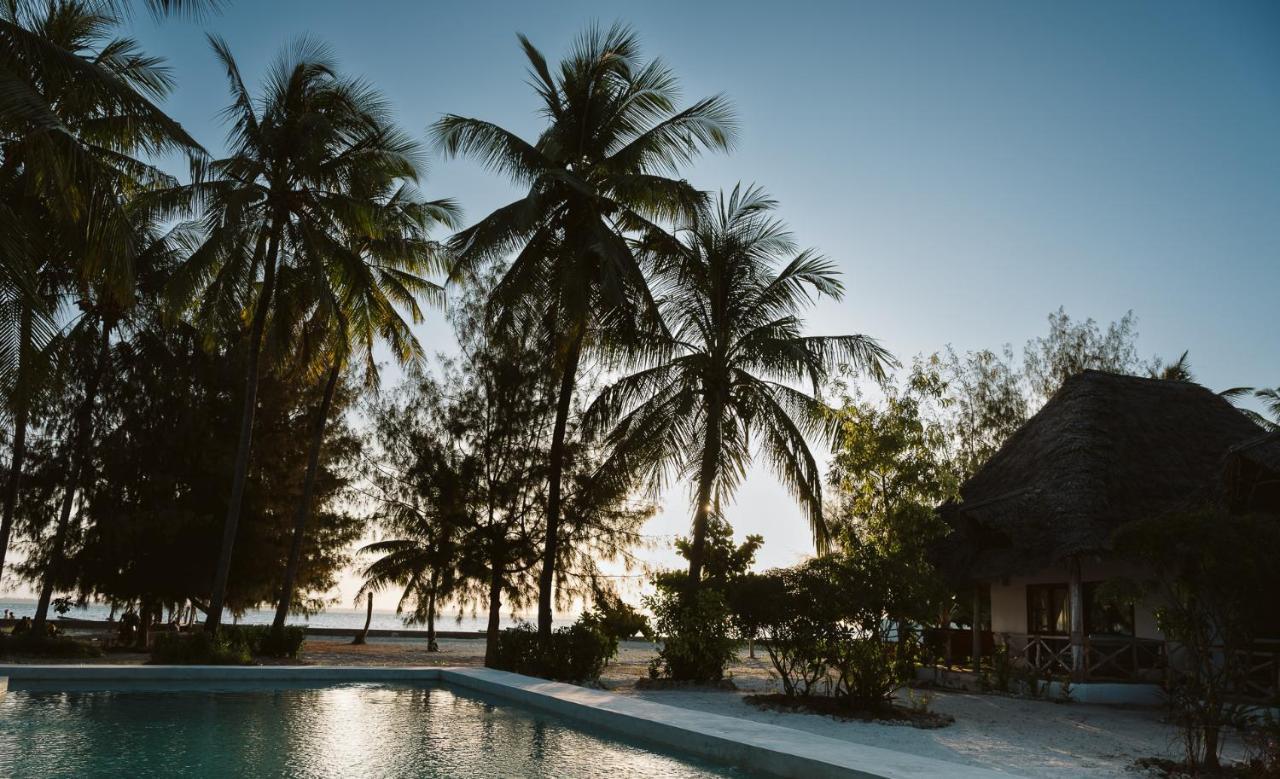 Hotel Joy Of Zanzibar Michamvi Zewnętrze zdjęcie